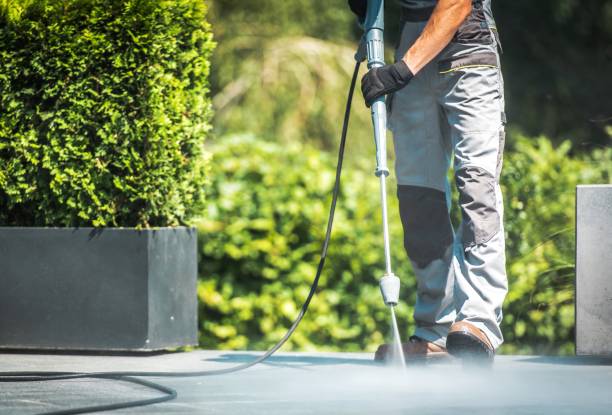 Solar Panel Cleaning in Greenup, IL