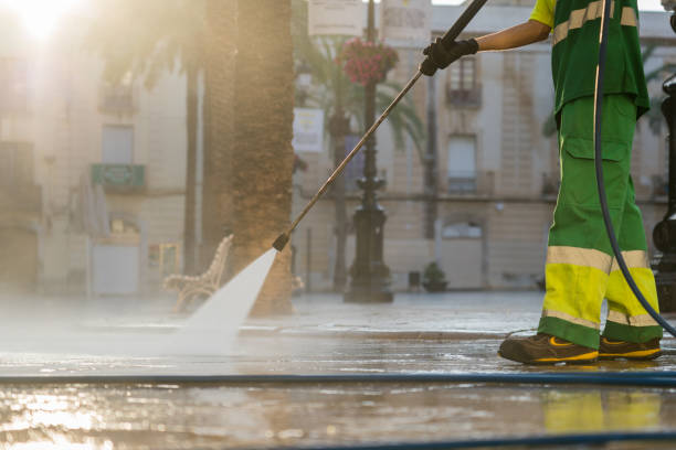 Best Building Exterior Washing  in Greenup, IL